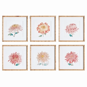 Set of 6 Colorful Chrysanthemum Framed Prints 