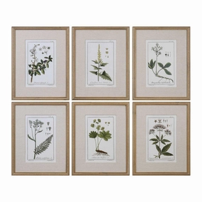 Set of 6 Green Floral Botanical Study Prints in Wooden Frame 