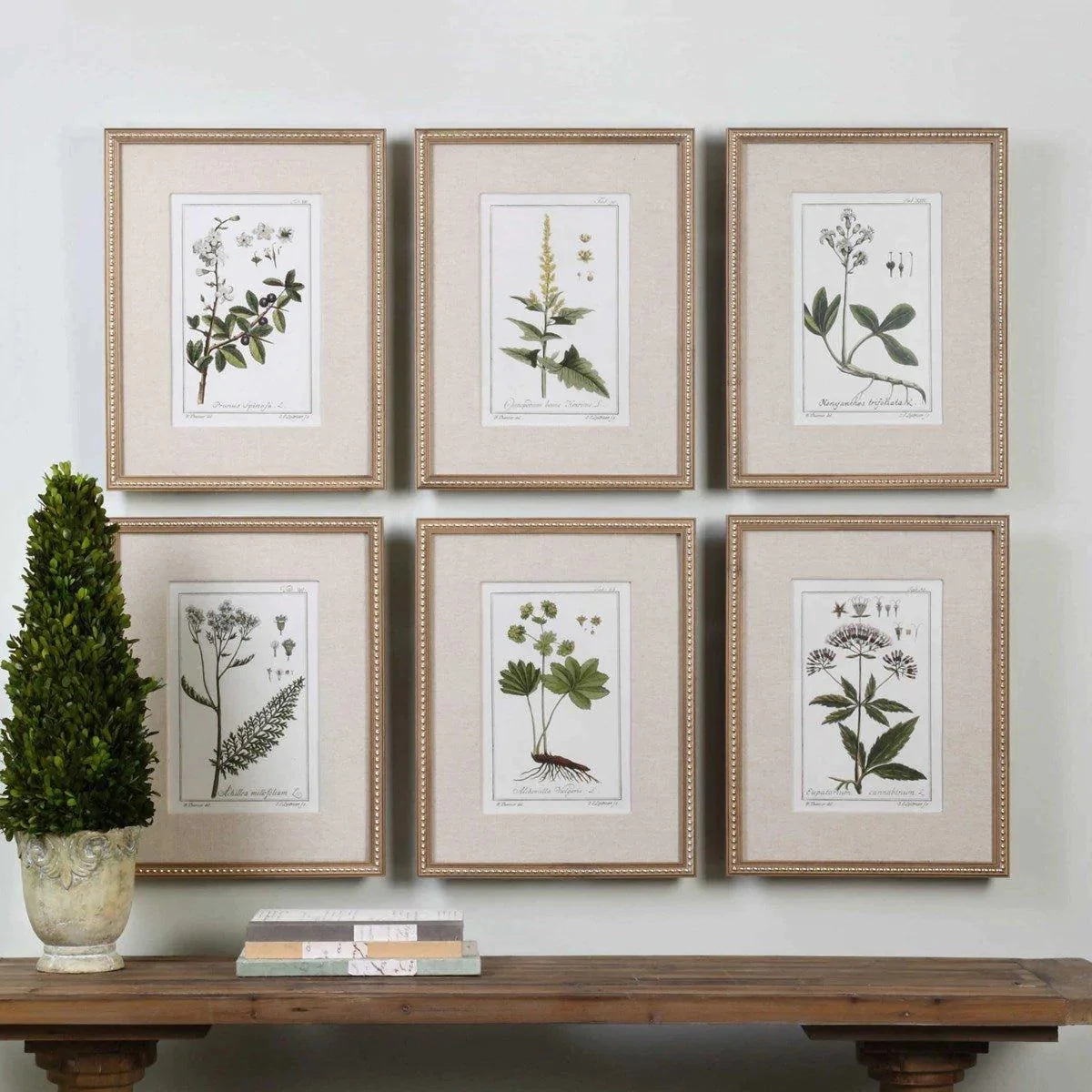 Set of 6 Green Floral Botanical Study Prints in Wooden Frame