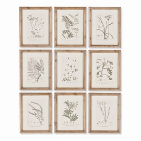 Set of 9 Botanical Framed Wall Art Illustrations 
