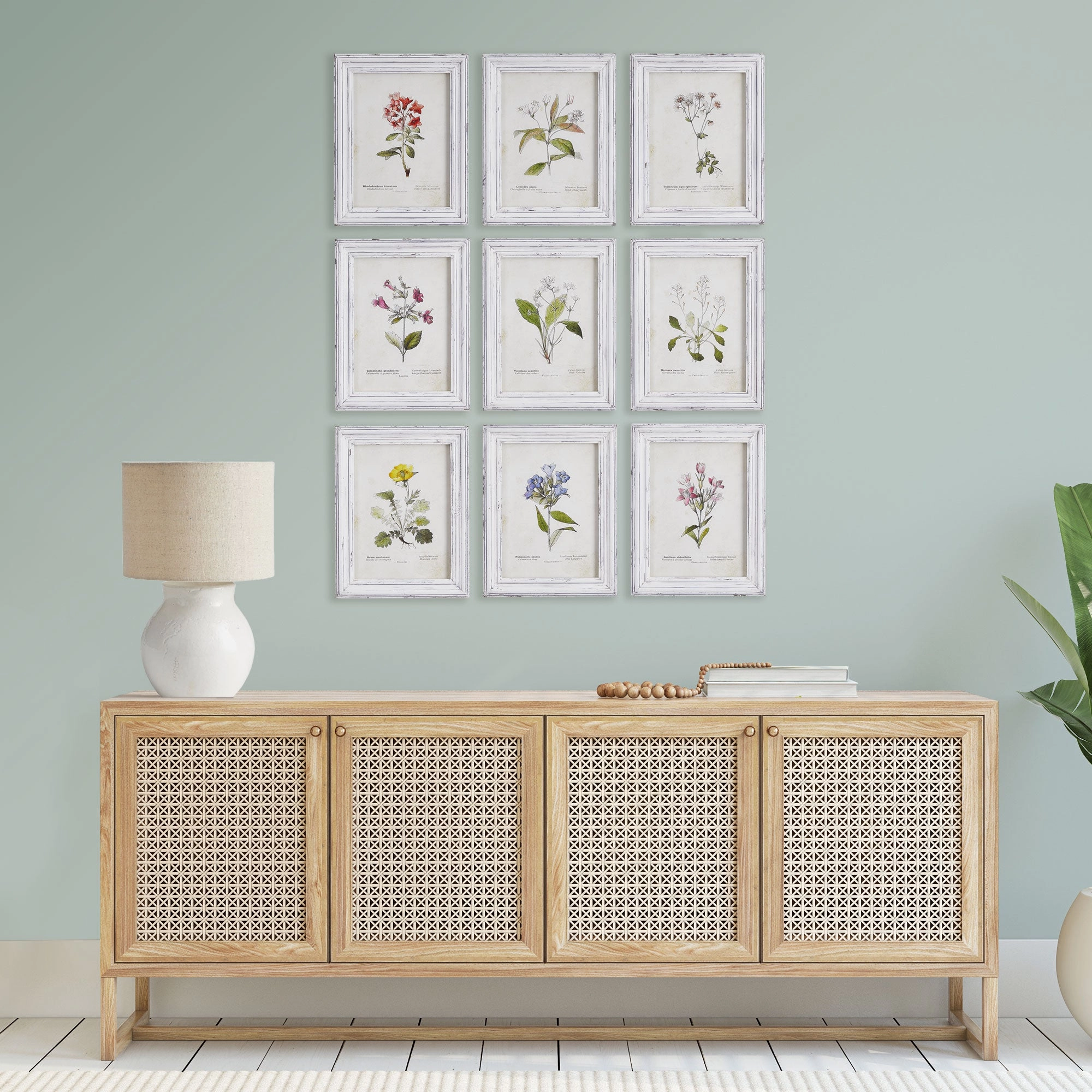 Set of 9 Framed Garden Meadow Study Prints