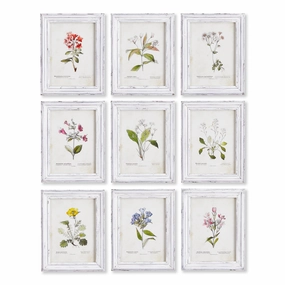 Set of 9 Framed Garden Meadow Study Prints 
