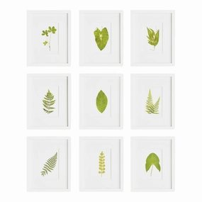 Set of 9 Framed Petite Green Leaf Wall Prints 