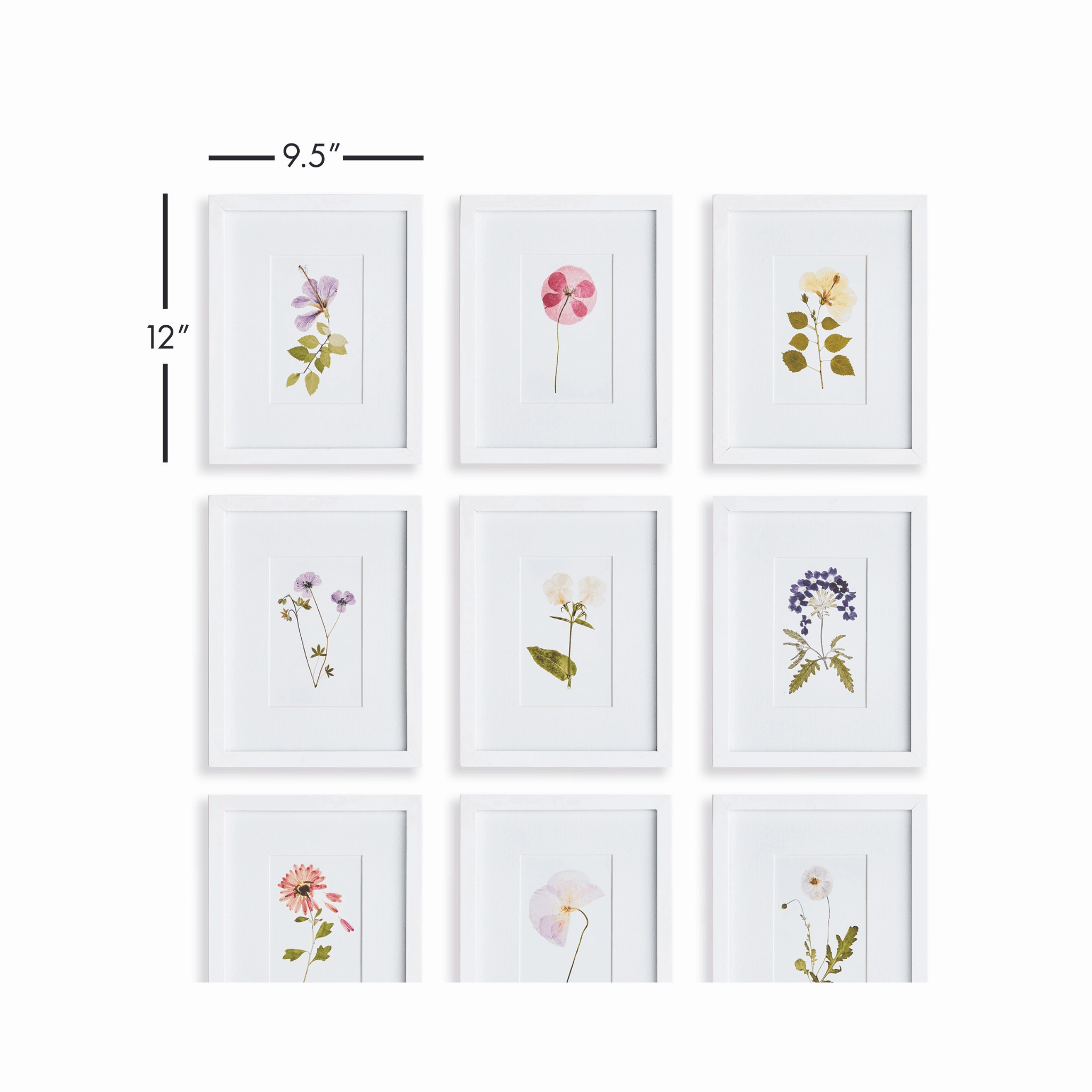 Set of 9 Mountain Flower Petite Framed Prints