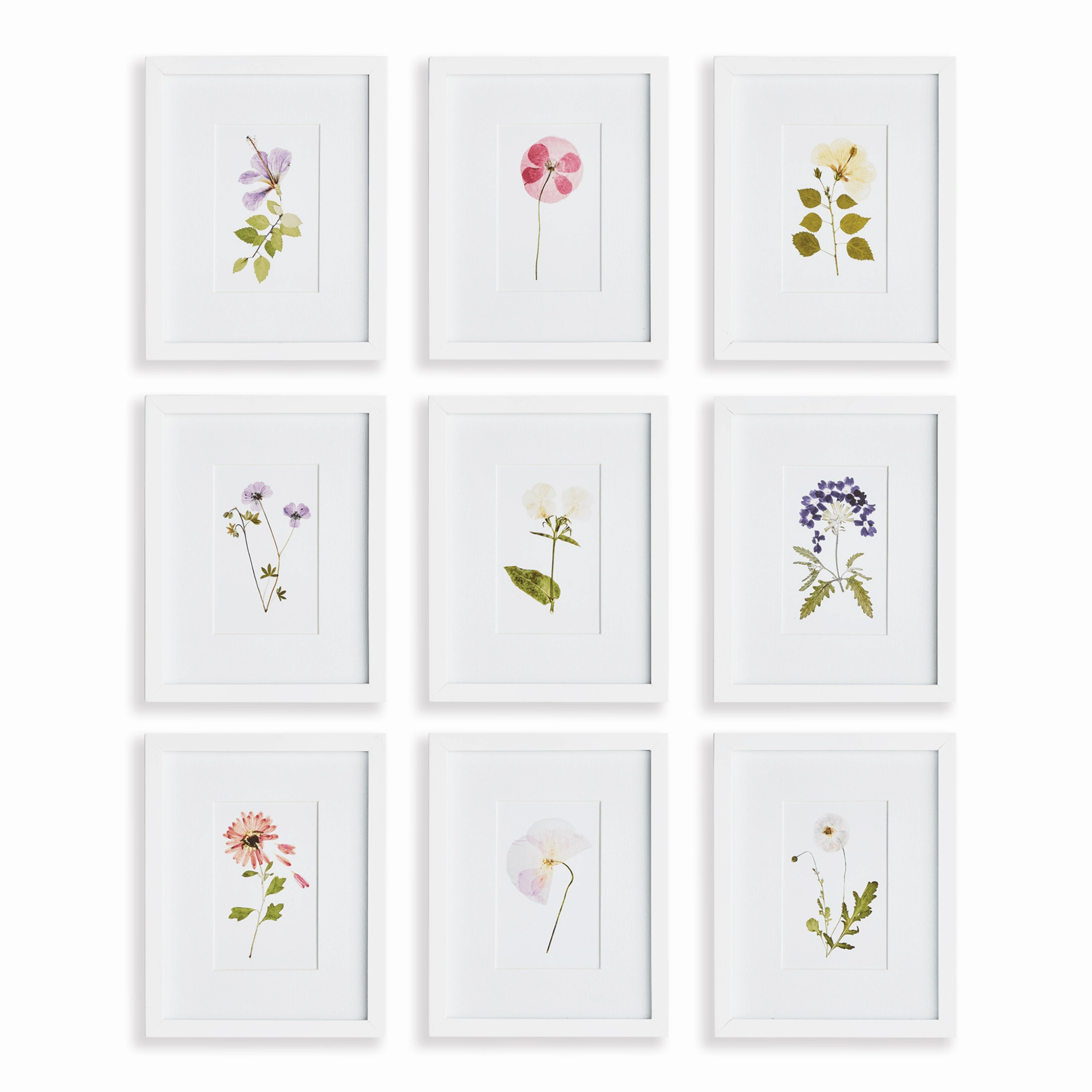 Set of 9 Mountain Flower Petite Framed Prints 
