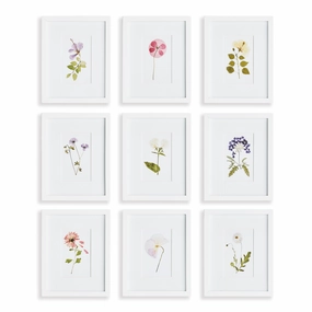 Set of 9 Mountain Flower Petite Framed Prints 