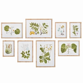 Set of Eight Framed Flora & Fauna Gallery Prints Wall Art 