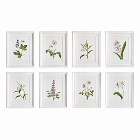 Set of Eight Petite Framed Flowers in Bloom Prints Wall Art 