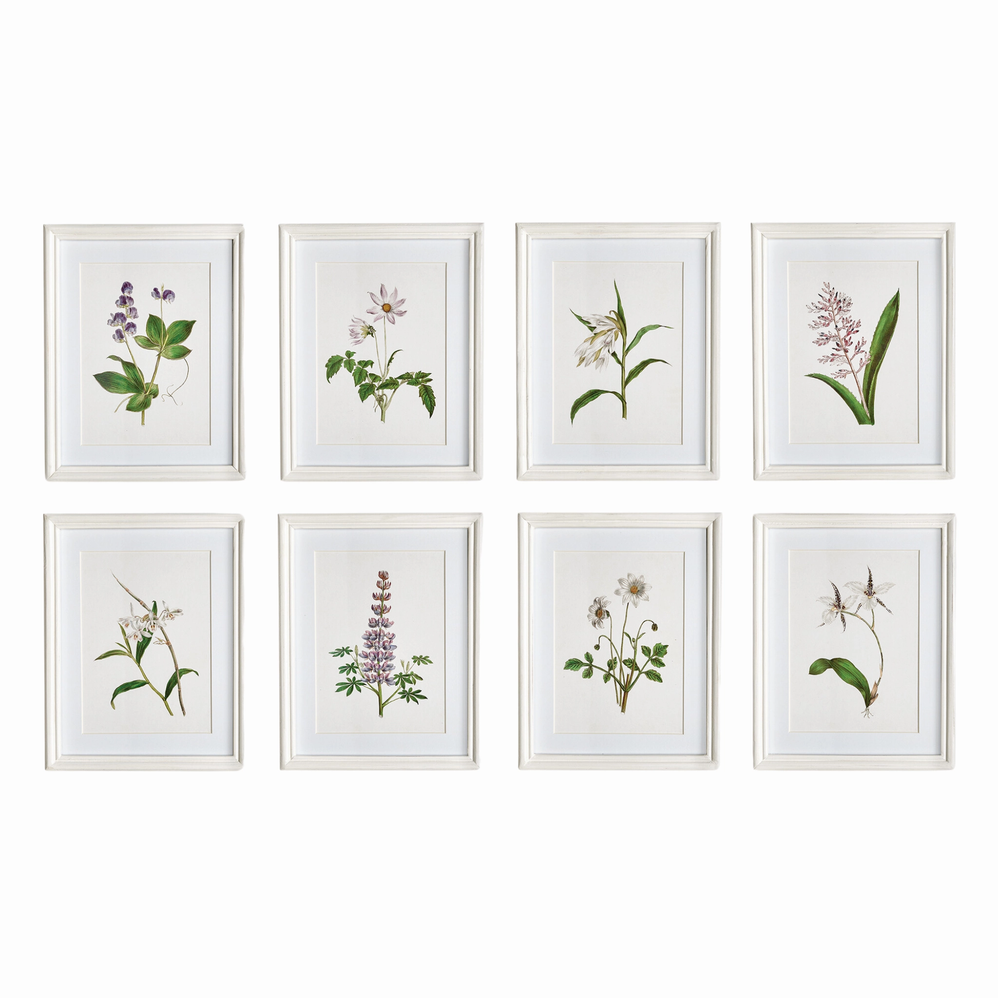 Set of Eight Petite Framed Flowers in Bloom Prints Wall Art 