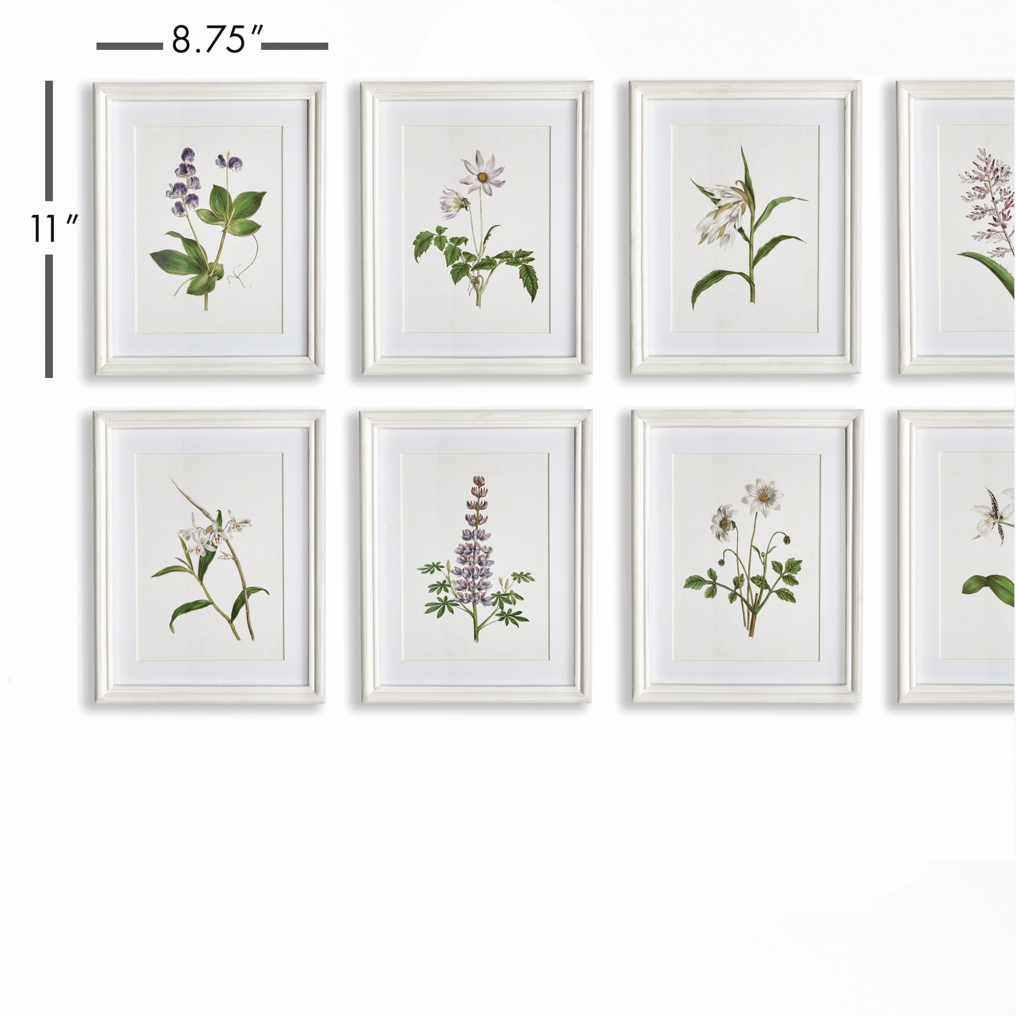 Set of Eight Petite Framed Flowers in Bloom Prints Wall Art
