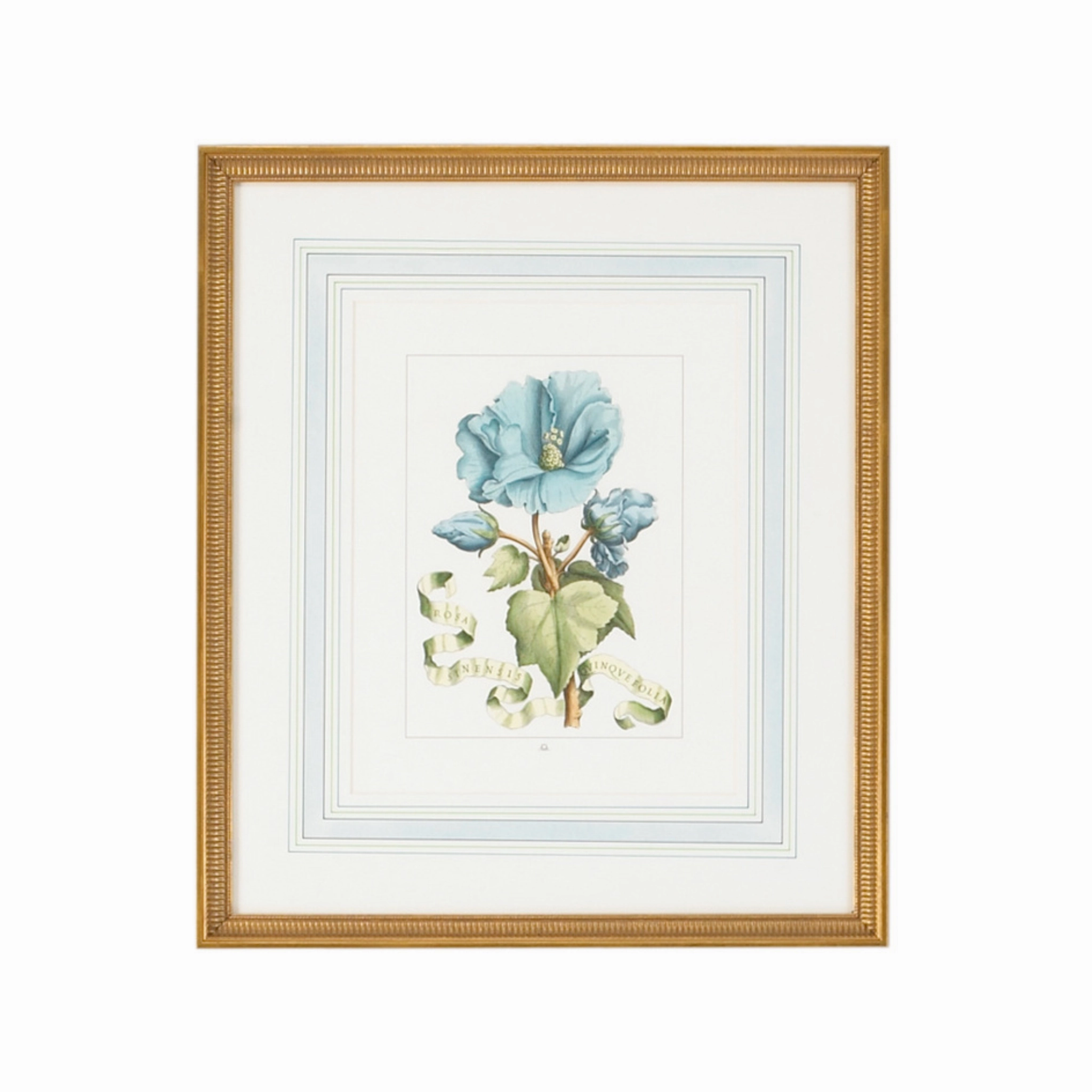 Set of Four Blue Flowers With Ribbon Botanical Wall Art Prints