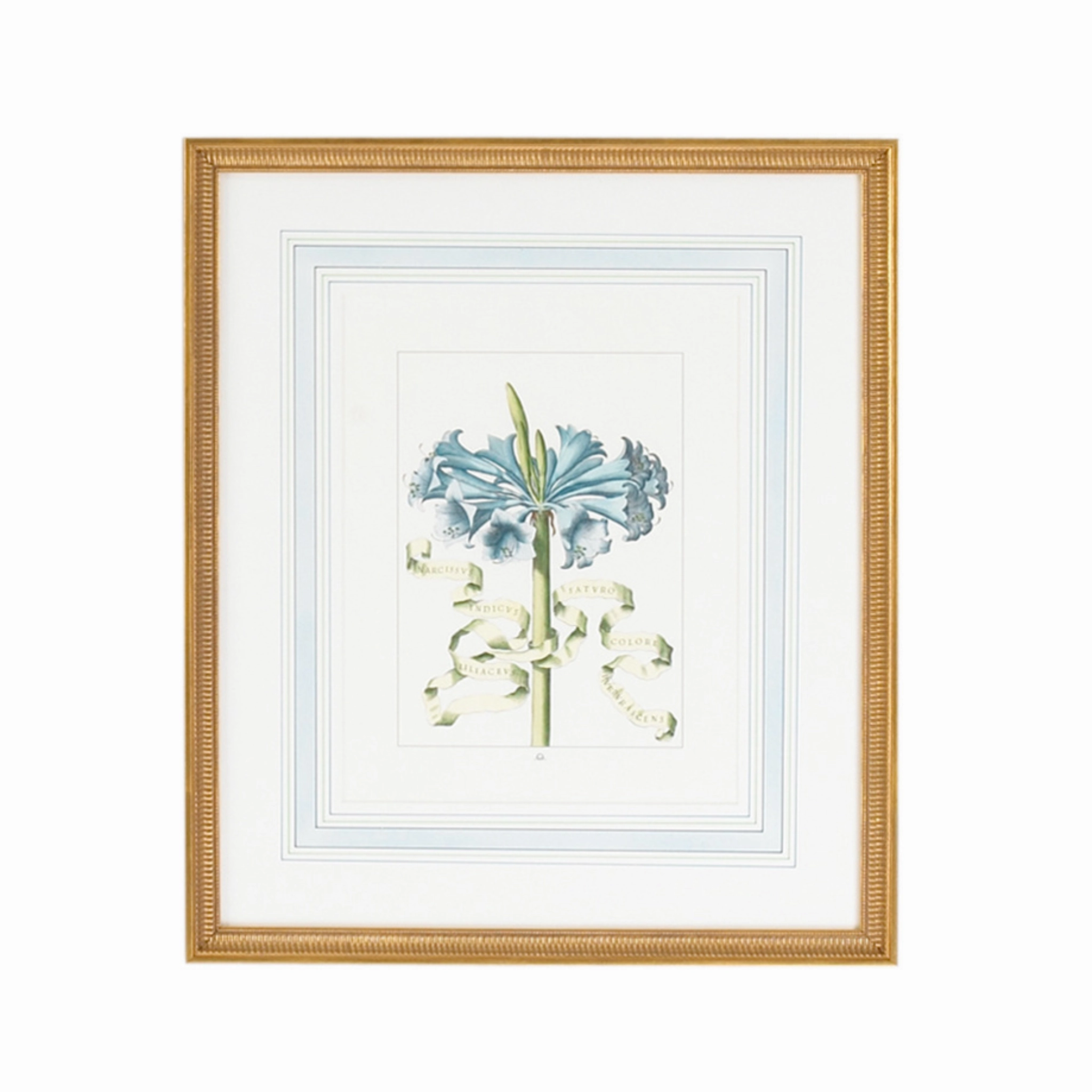 Set of Four Blue Flowers With Ribbon Botanical Wall Art Prints