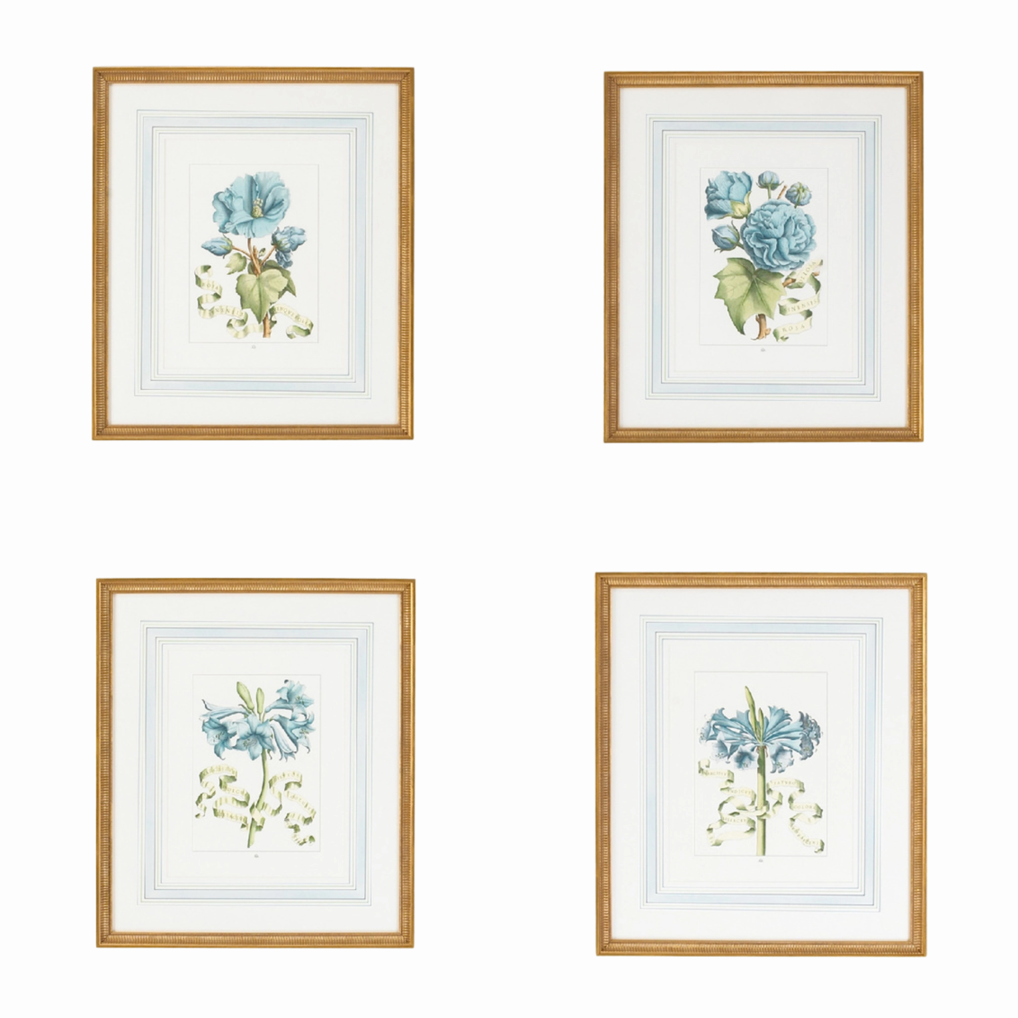 Set of Four Blue Flowers With Ribbon Botanical Wall Art Prints 