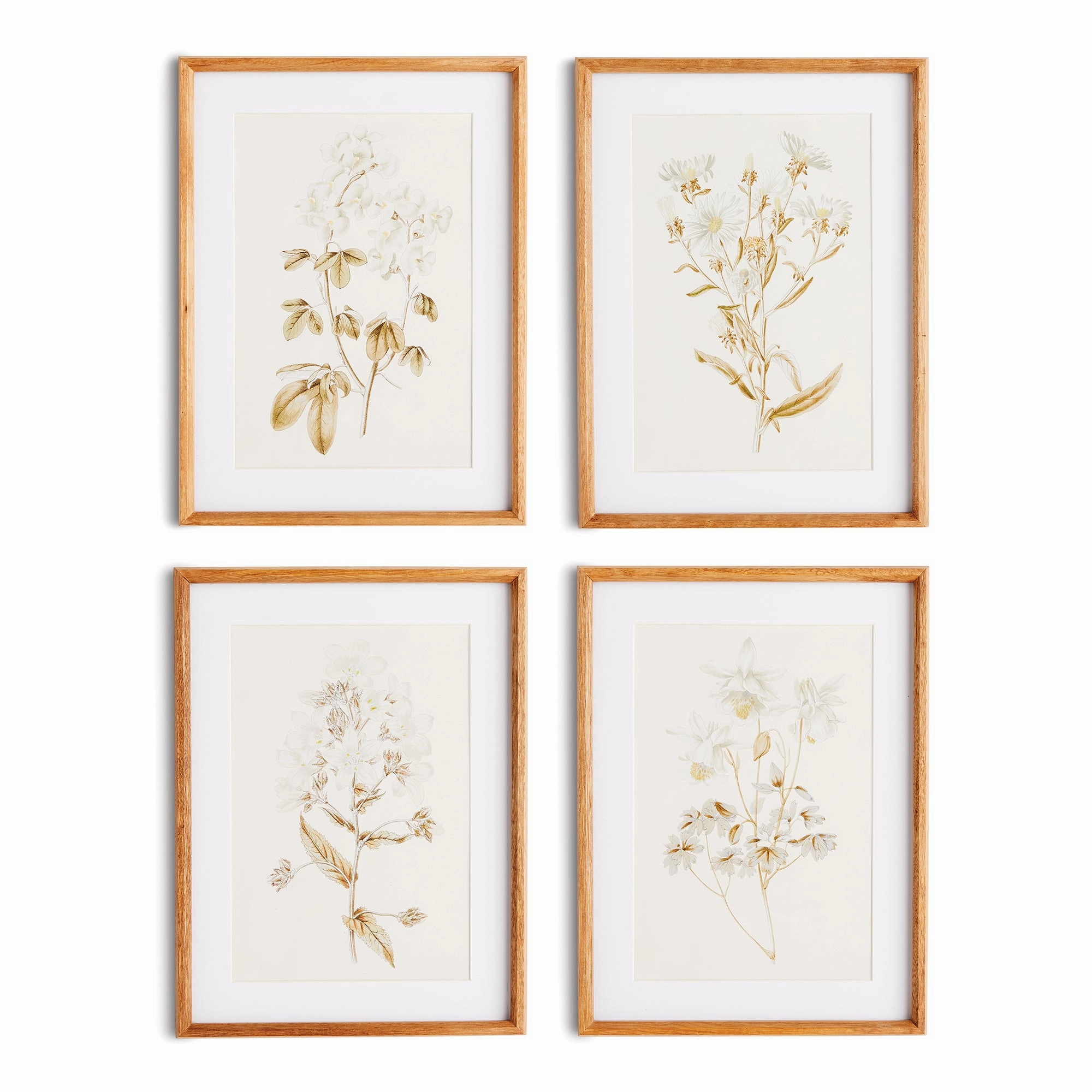 Set of Four Fleur De Blanc Prints in Natural Wood Frames 