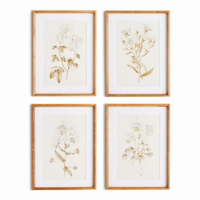 Set of Four Fleur De Blanc Prints in Natural Wood Frames 