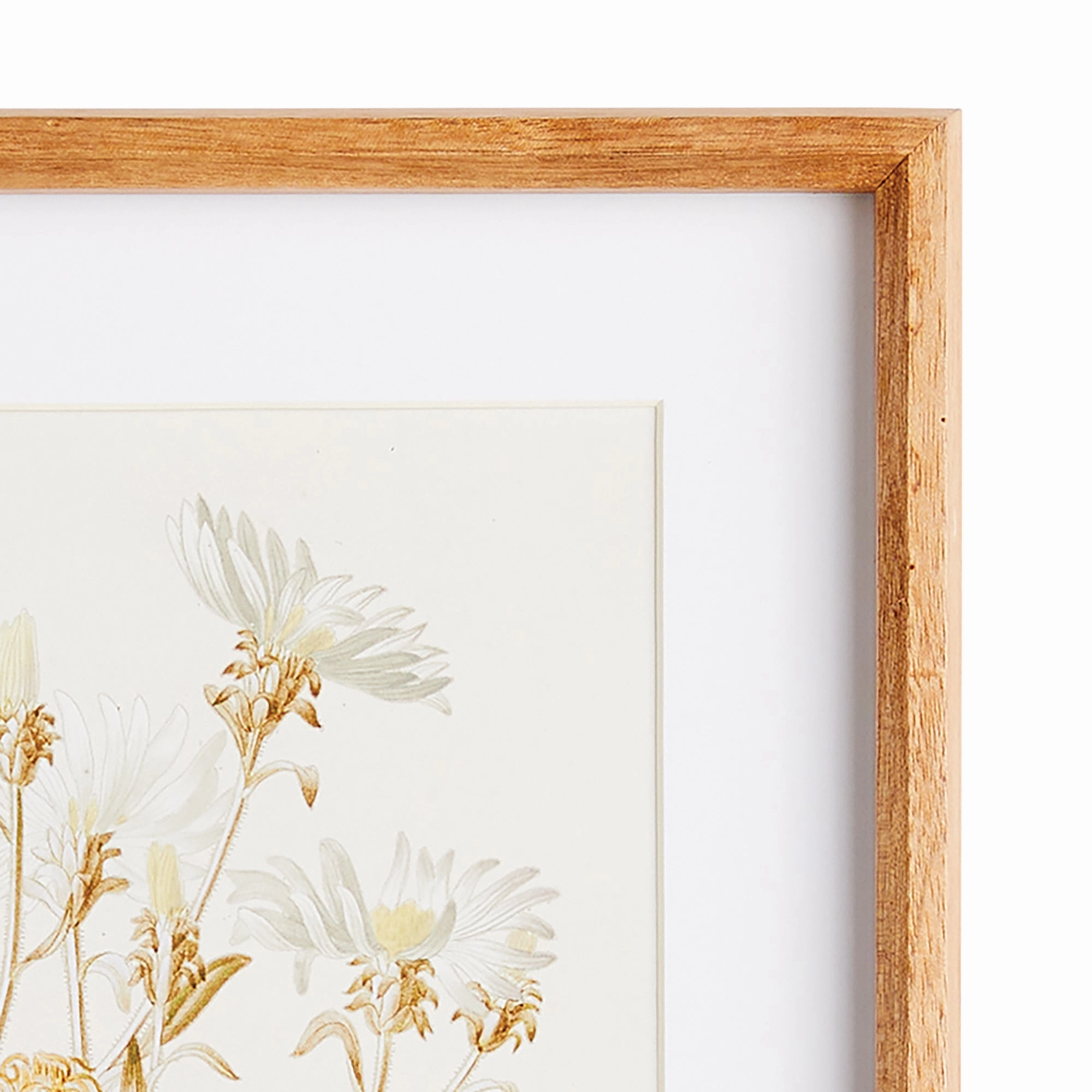 Set of Four Fleur De Blanc Prints in Natural Wood Frames