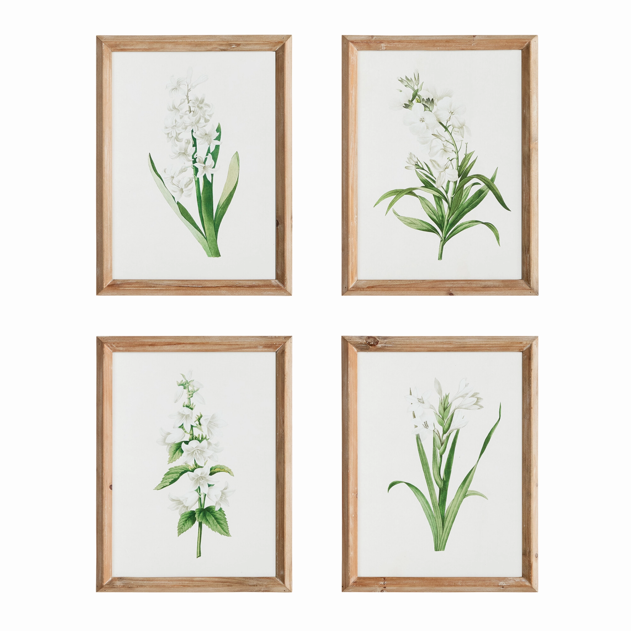 Set of Four Framed Garden Bloom Prints Wall Art 