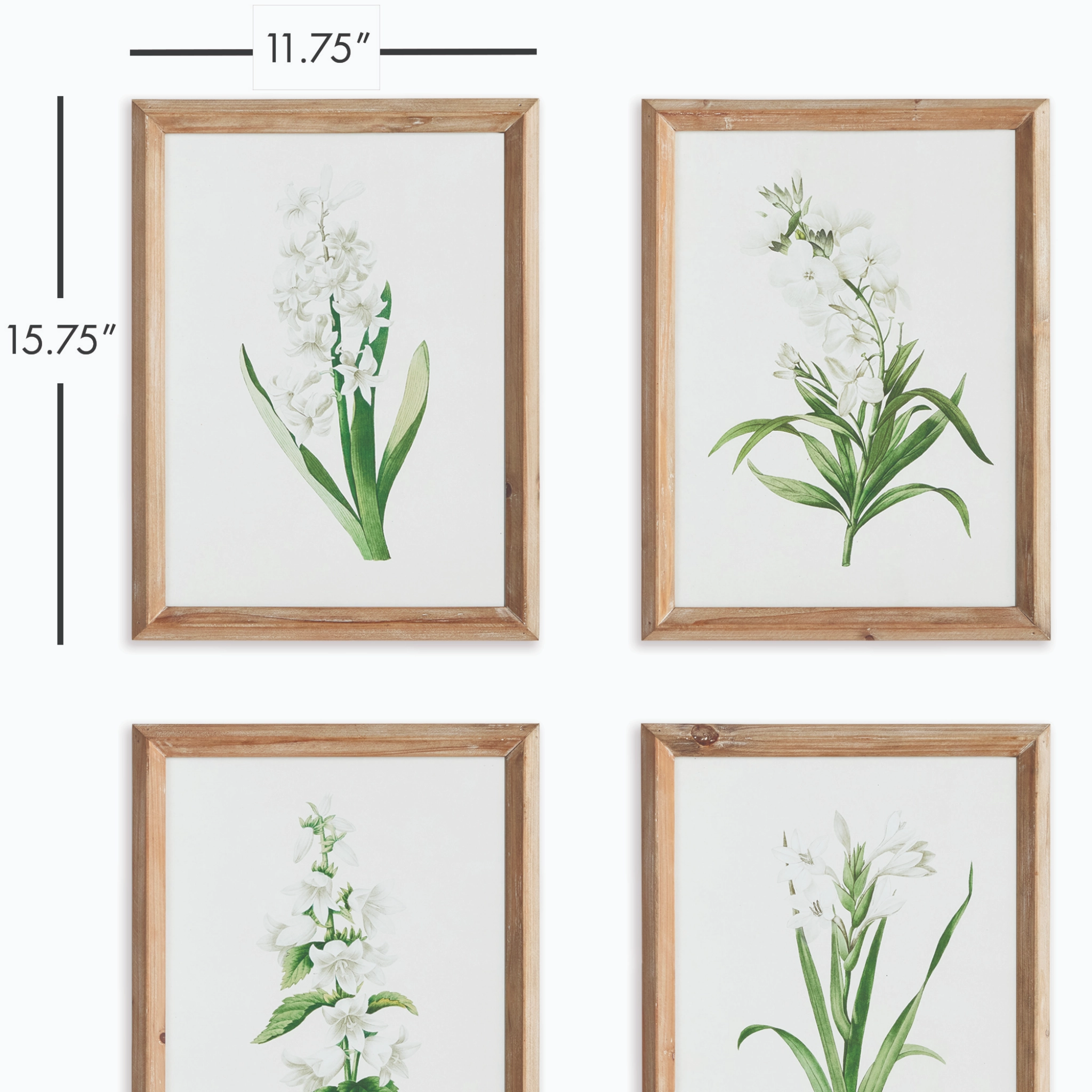 Set of Four Framed Garden Bloom Prints Wall Art