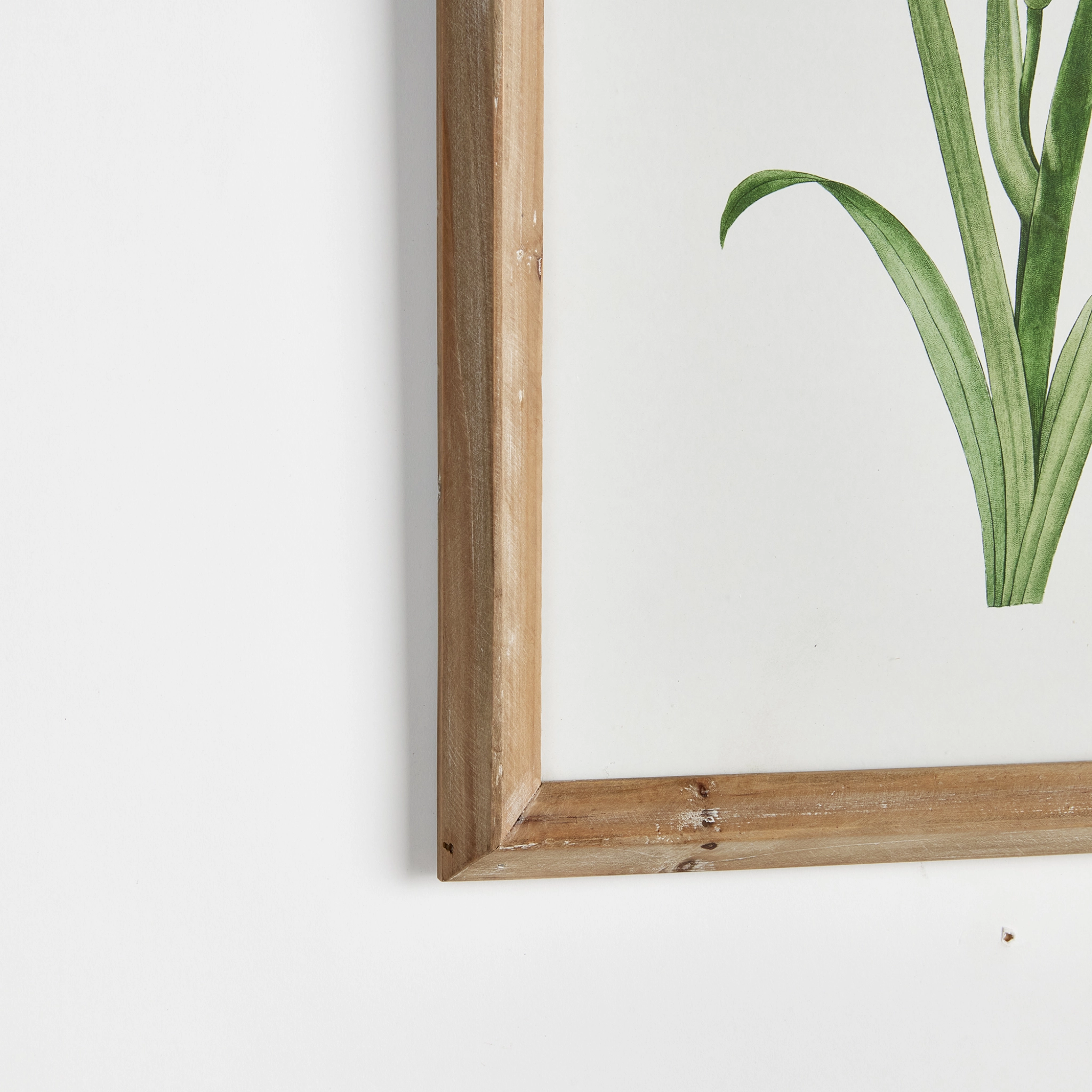 Set of Four Framed Garden Bloom Prints Wall Art
