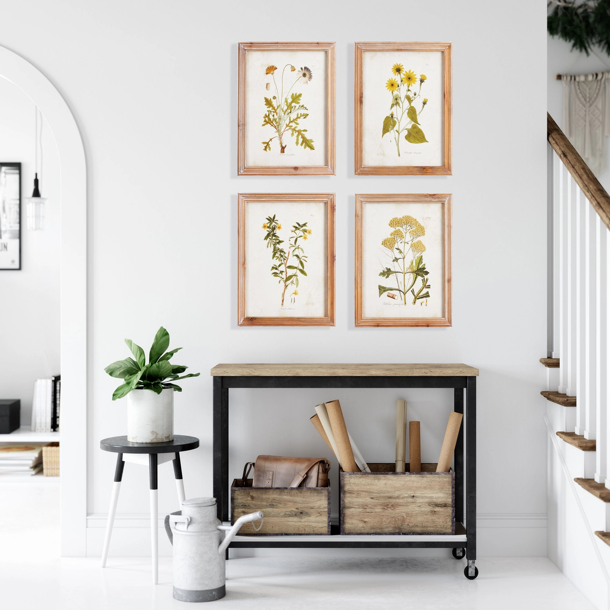 Set of Four Framed Golden Wildflower Study Prints