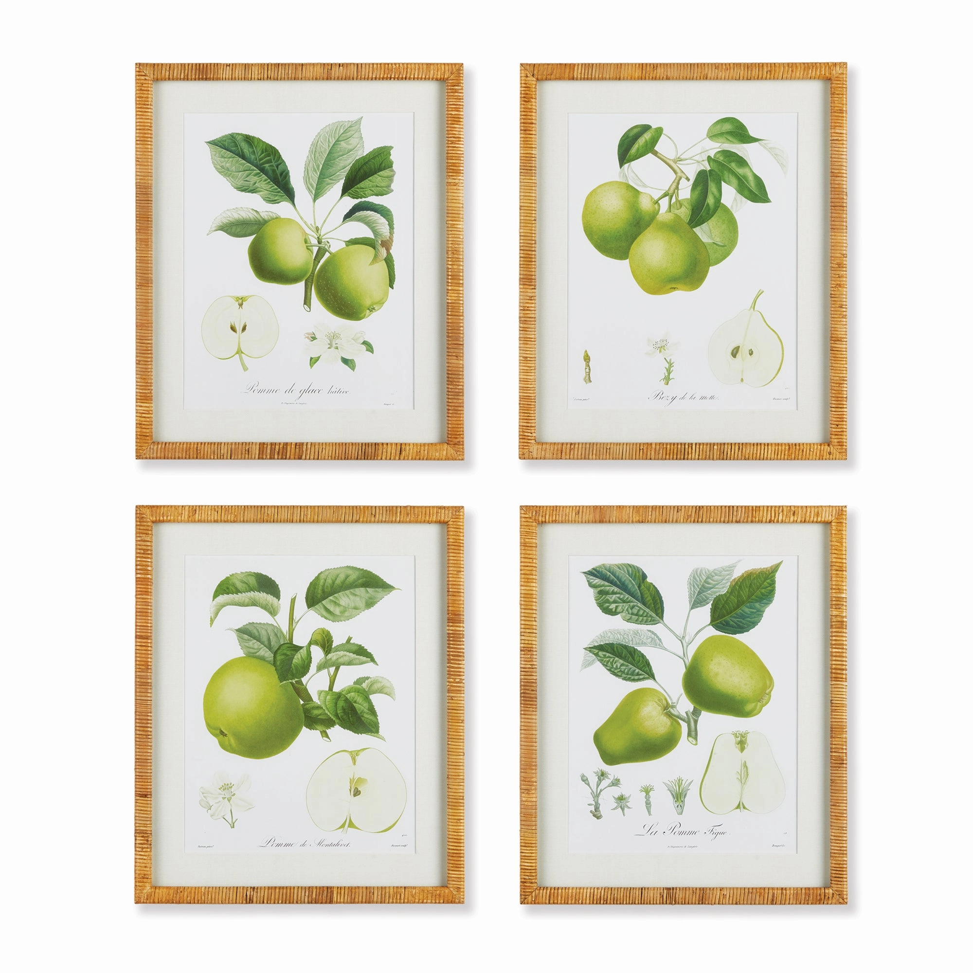 Set of Four Framed Green Fruit Study Prints 