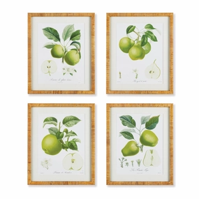 Set of Four Framed Green Fruit Study Prints 