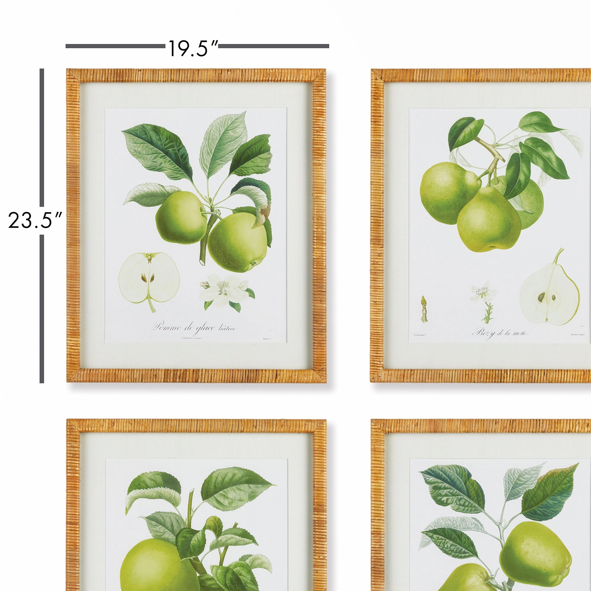 Set of Four Framed Green Fruit Study Prints