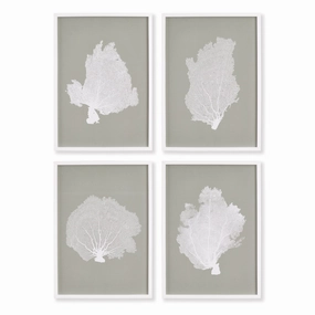 Set of Four Framed Grey and White Coral Fans Study 