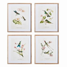 Set of Four Framed Hummingbirds With Blush Blooms Prints Wall Art 