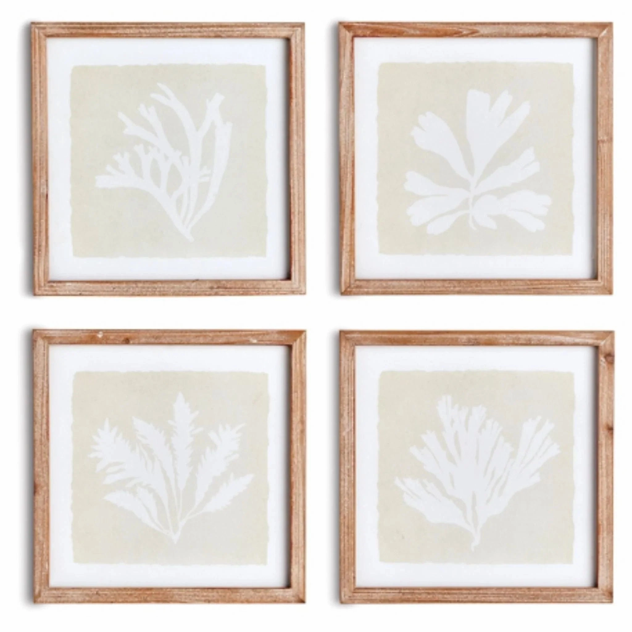 Set of Four Framed Petite Coral Silhouette Prints 