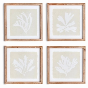 Set of Four Framed Petite Coral Silhouette Prints 