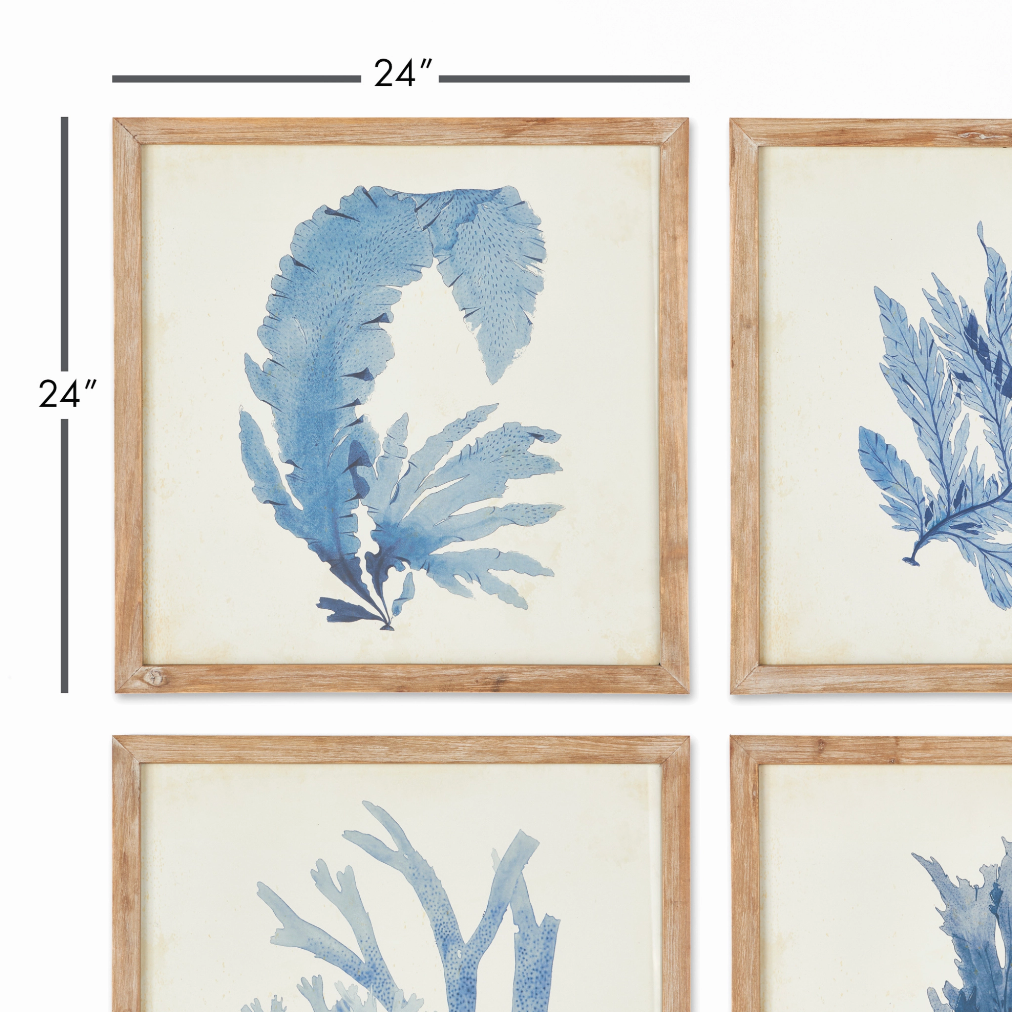 Set of Four Framed Watercolor Coral Wall Art