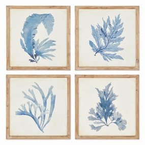 Set of Four Framed Watercolor Coral Wall Art 