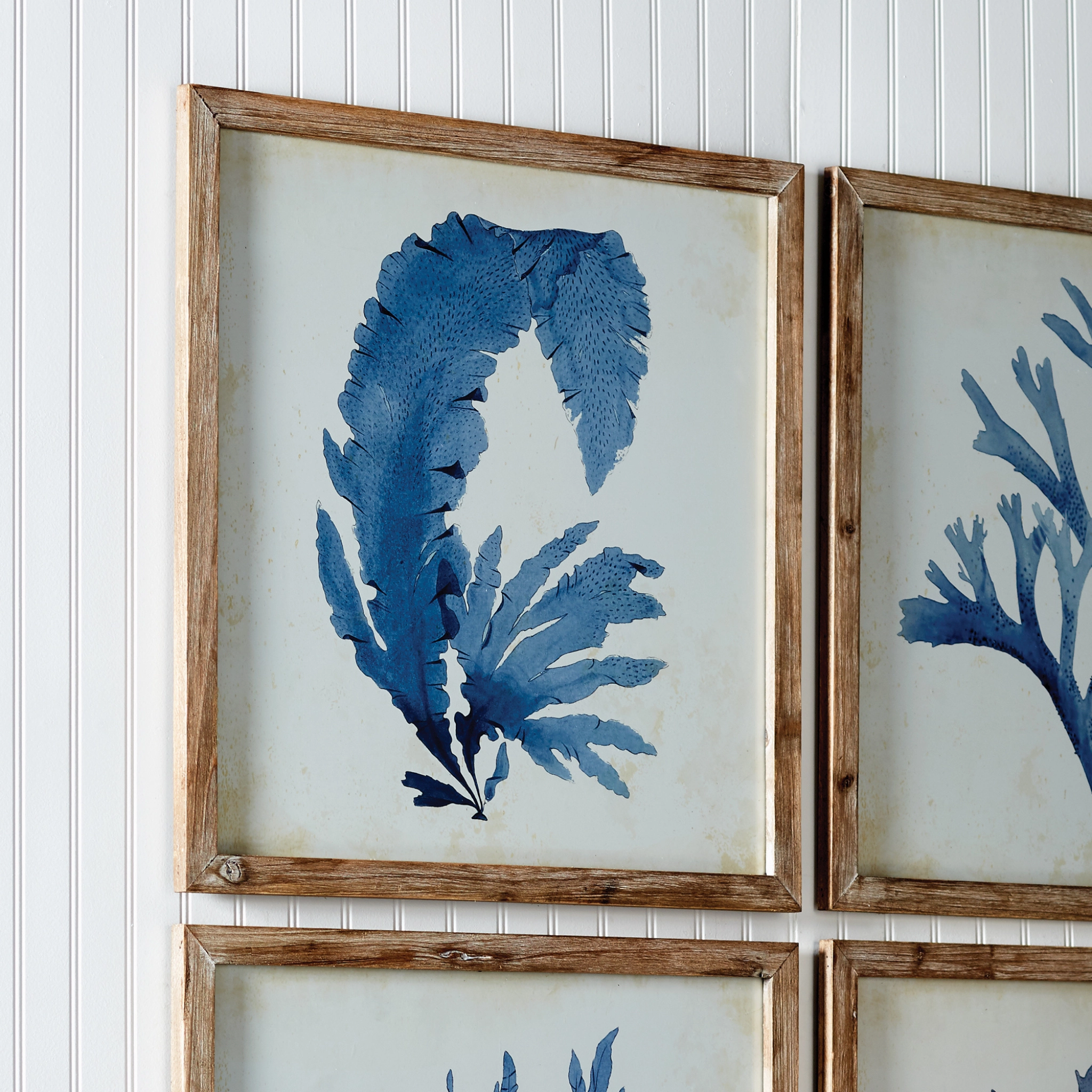 Set of Four Framed Watercolor Coral Wall Art