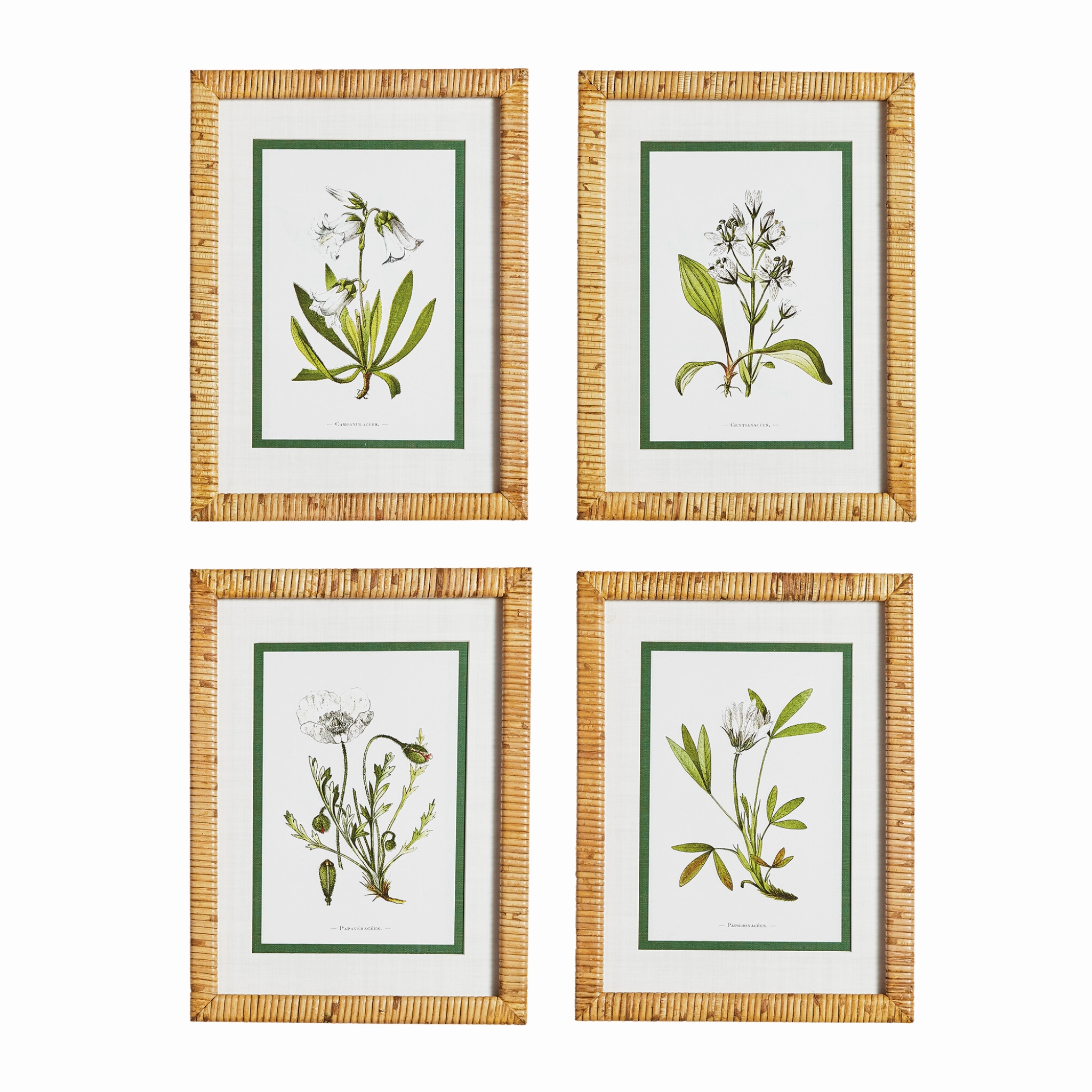 Set of Four Framed White Floral Study Prints Wall Art 