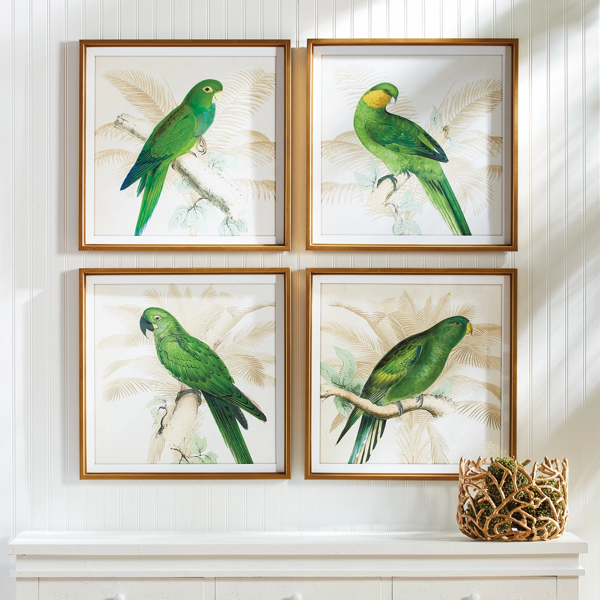 Set of Four Green Parrot Study Framed Prints