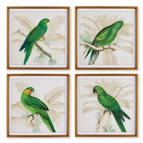 Set of Four Green Parrot Study Framed Prints 