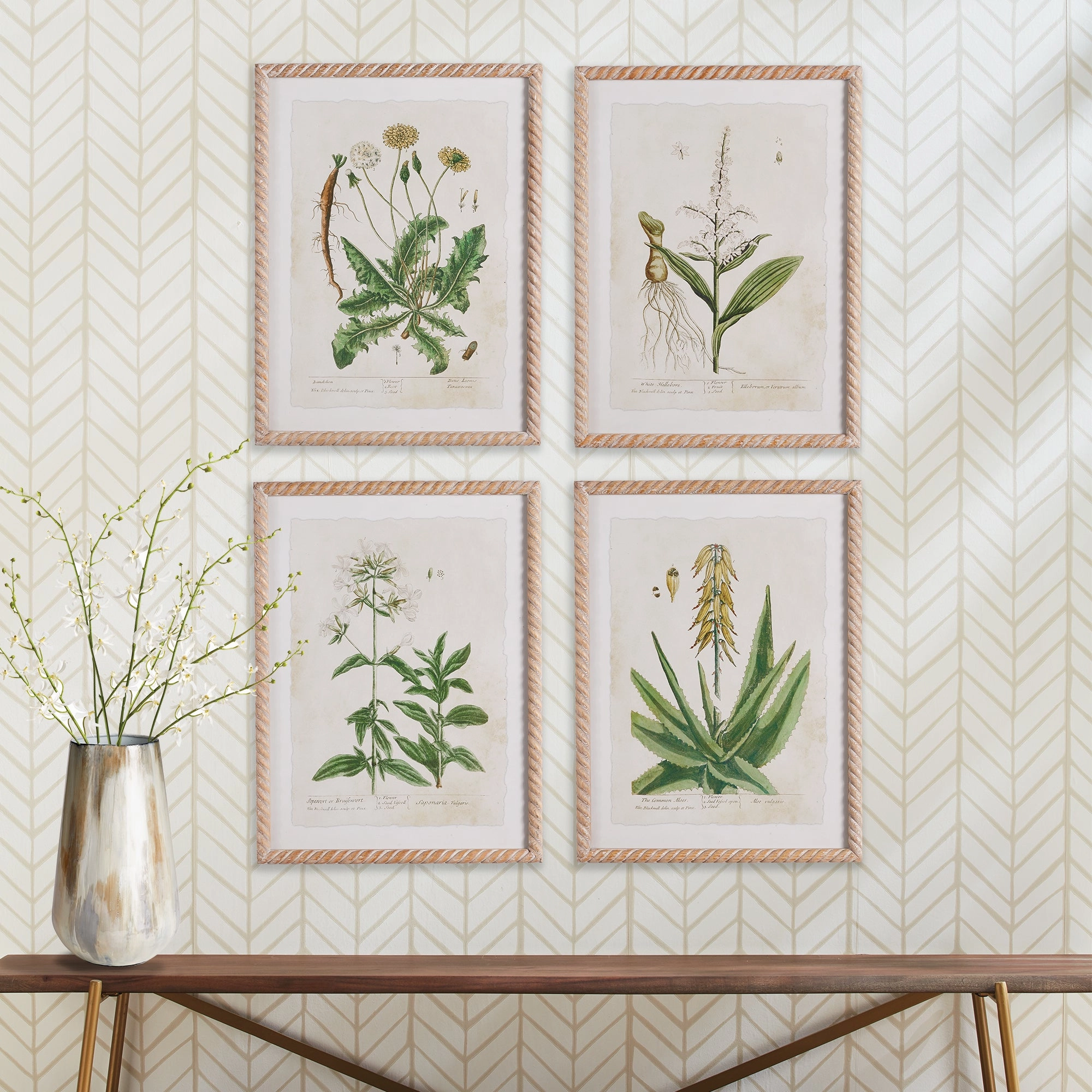 Set of Four Vintage Botanical Study Prints