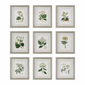 Set of Nine Antique Botanicals Framed Prints 
