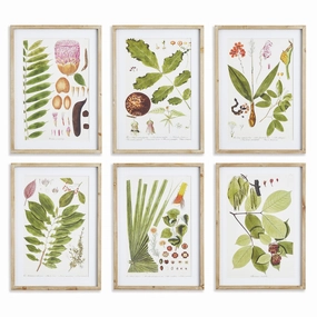 Set of Six Framed & Matted Botanical Leaf Prints 