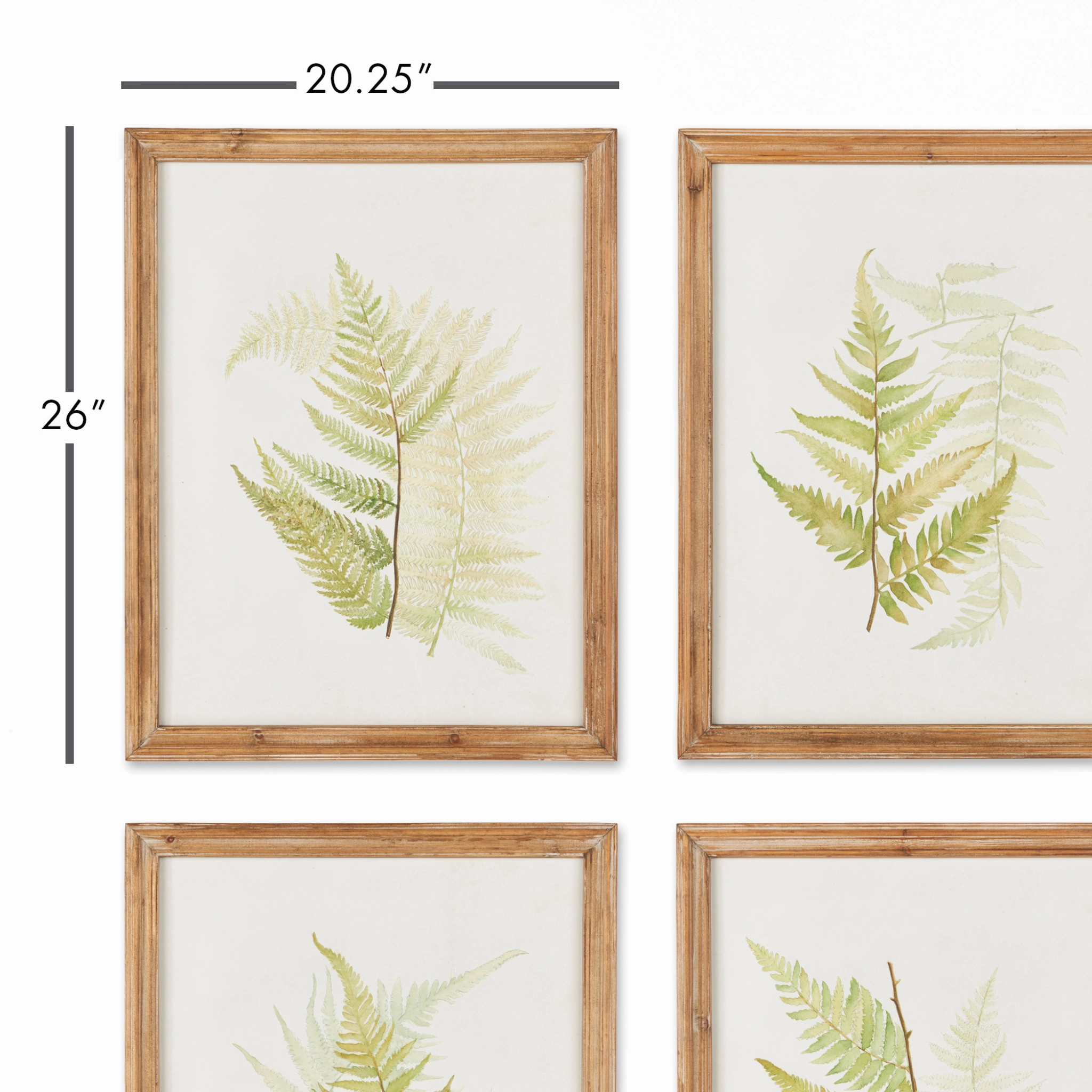 Set of Six Framed Ferns Botanical Wall Art