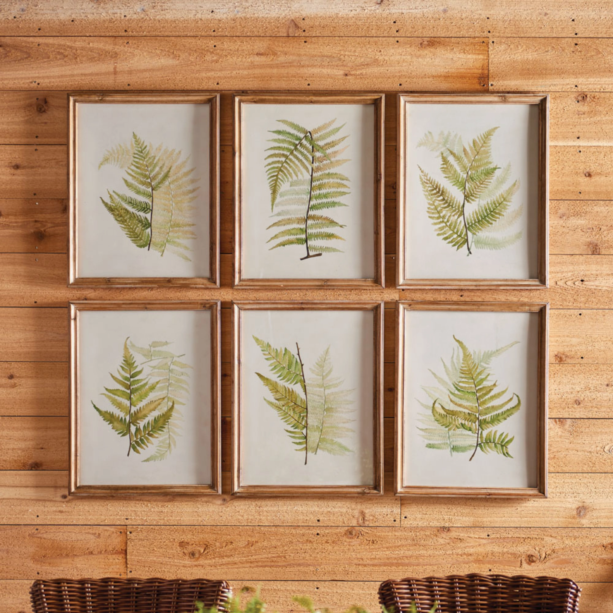 Set of Six Framed Ferns Botanical Wall Art
