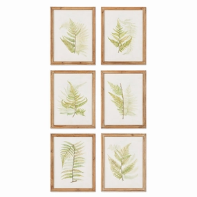 Set of Six Framed Ferns Botanical Wall Art 