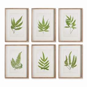 Set of Six Framed Forest Greenery Prints 