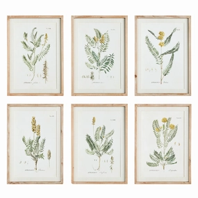 Set of Six Framed Mid-Summer Blooms Prints Wall Art 