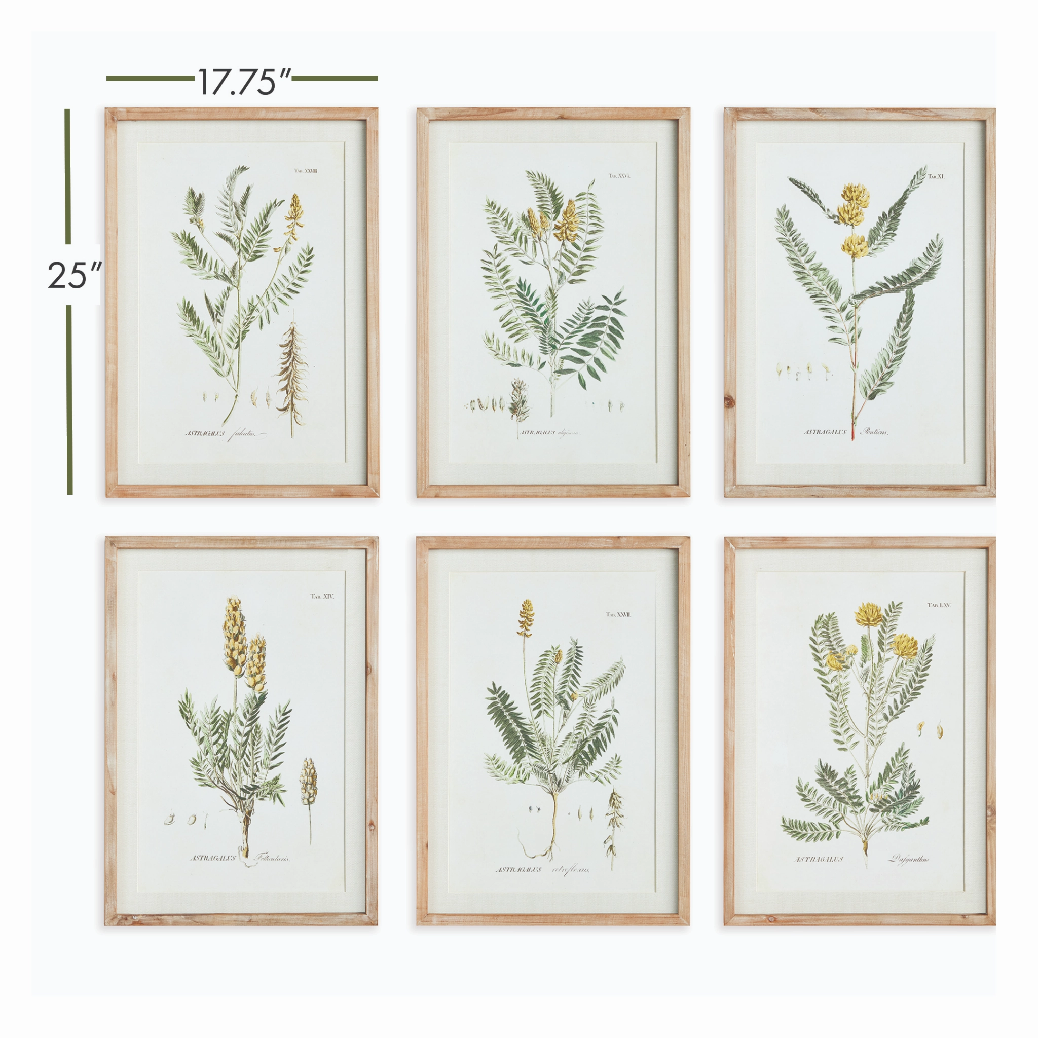 Set of Six Framed Mid-Summer Blooms Prints Wall Art