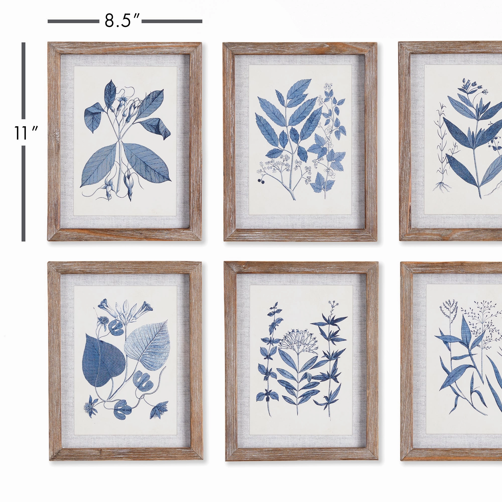 Set of Six Framed Petite Blue Leaf Prints