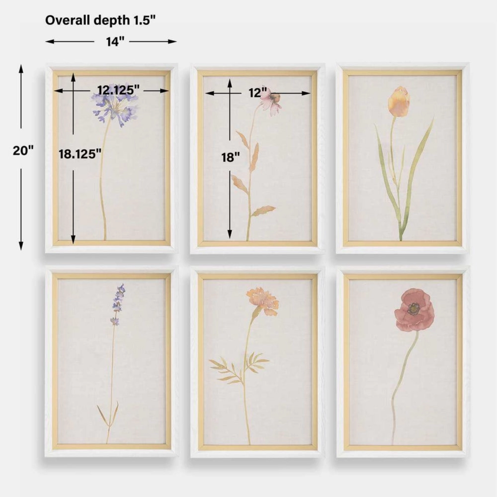 Set of Six Wild Flourish Framed Prints