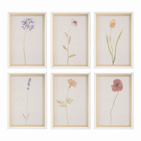 Set of Six Wild Flourish Framed Prints 