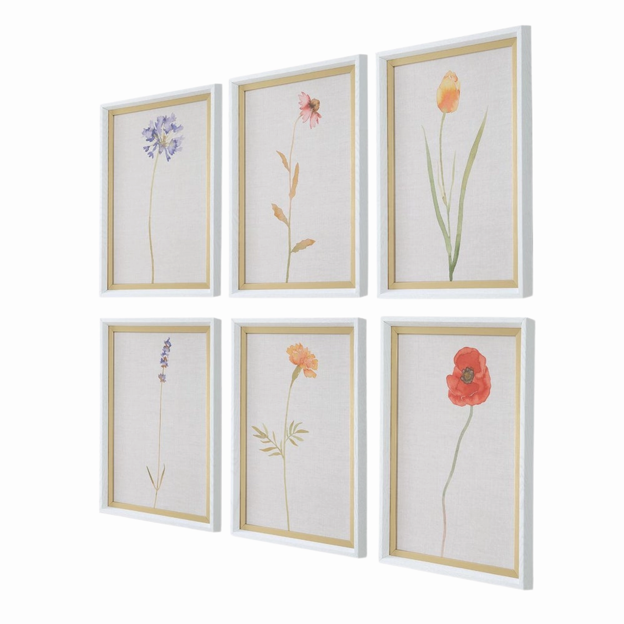 Set of Six Wild Flourish Framed Prints